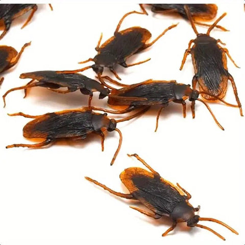 Broma Cucarachas Falsas Realistas (10u) - Indigo72.com