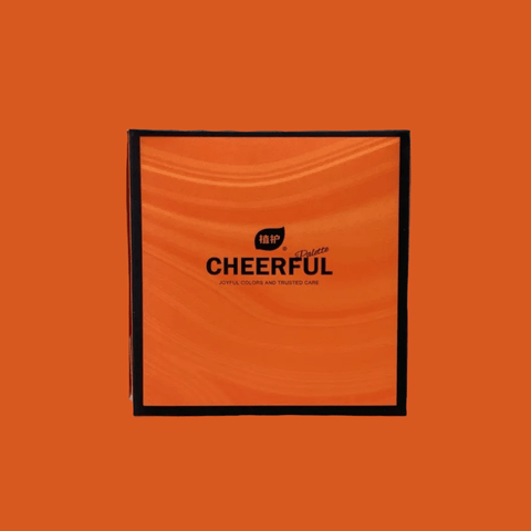 Caja de Pañuelos Desechables Cheerful (240 pañuelos) - Índigo72.com