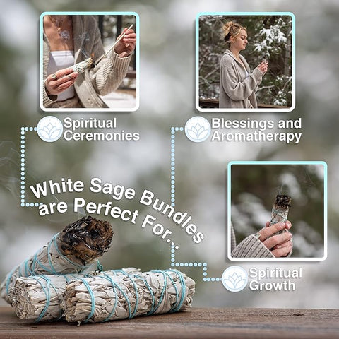 Salvia Blanca O Roja Sage 2uni X 10cm C/u (60grs) - Indigo72.com